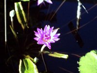 photos 2000-200902609